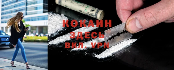 шишки Лихославль