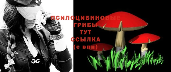 шишки Лихославль