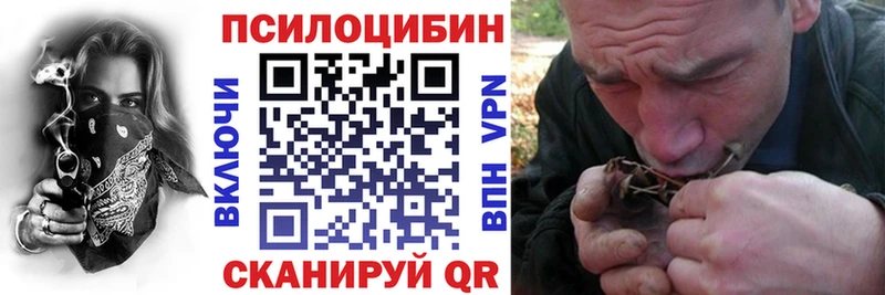 Псилоцибиновые грибы Psilocybine cubensis  Зверево 